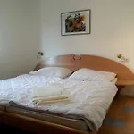 Bergland Residenz 萨尔巴赫